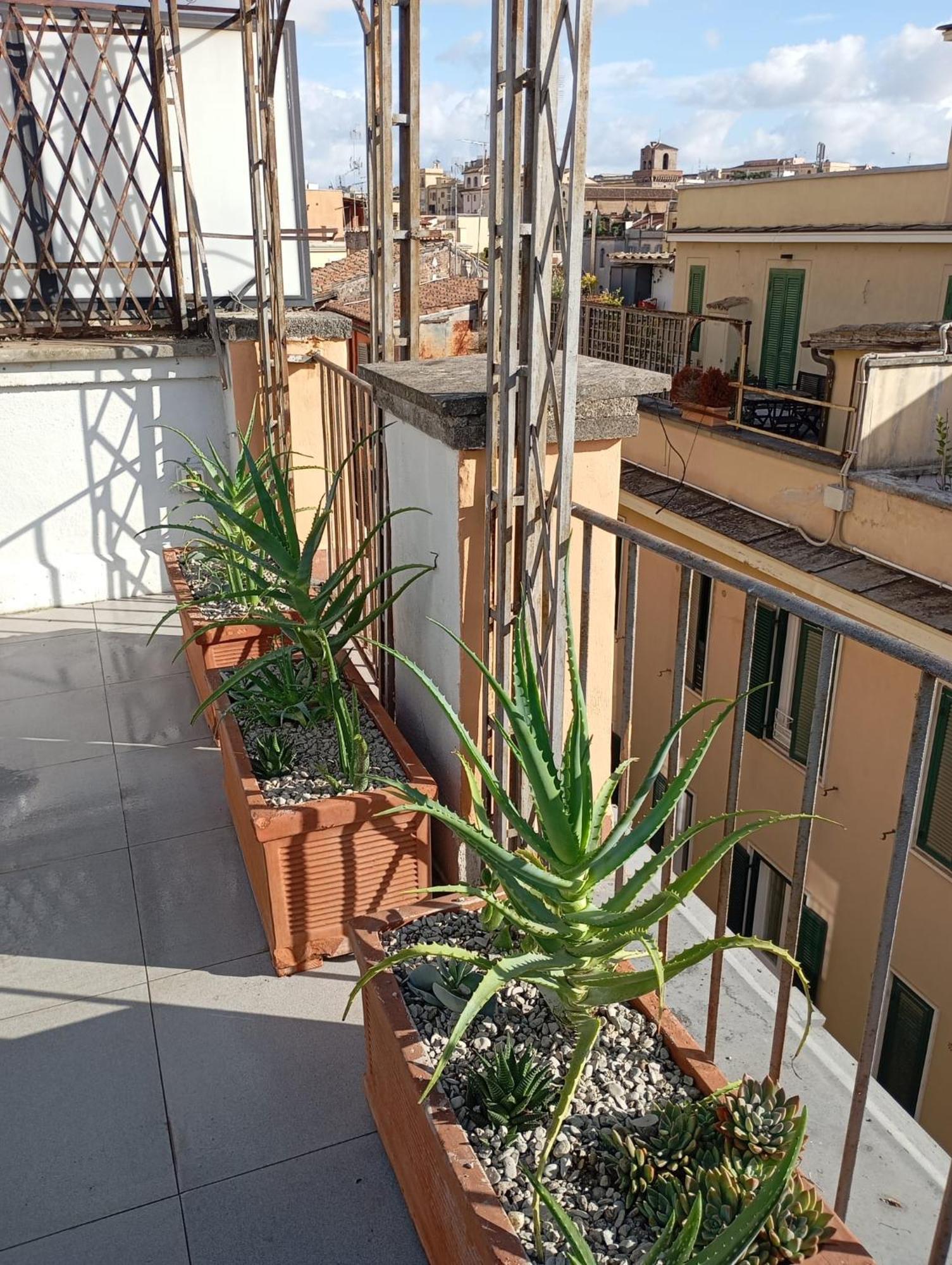 Colosseum Exclusive Duplex Rom Exterior foto